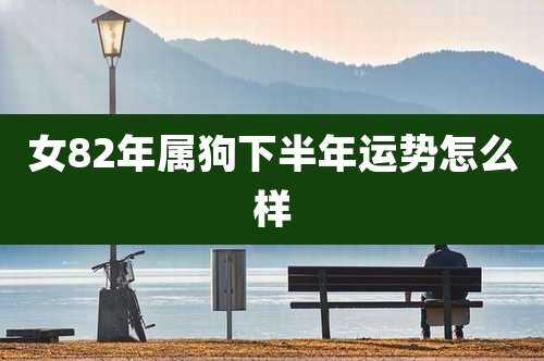 女82年属狗下半年运势怎么样