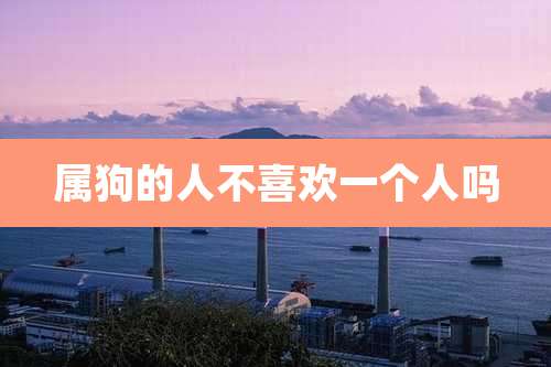 属狗的人不喜欢一个人吗