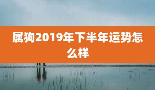 属狗2019年下半年运势怎么样