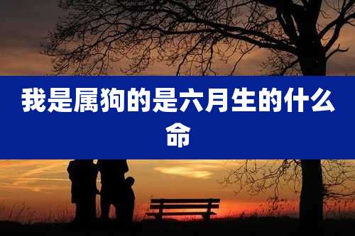 我是属狗的是六月生的什么命