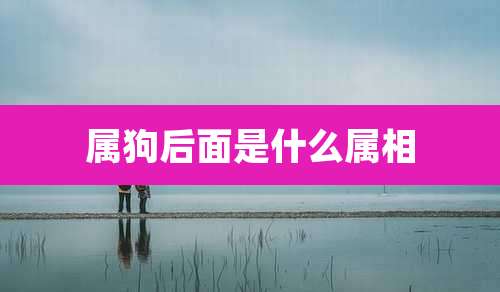 属狗后面是什么属相