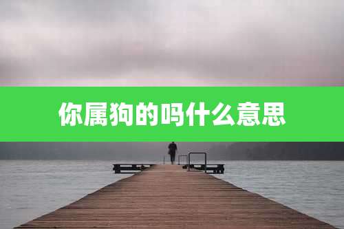 你属狗的吗什么意思