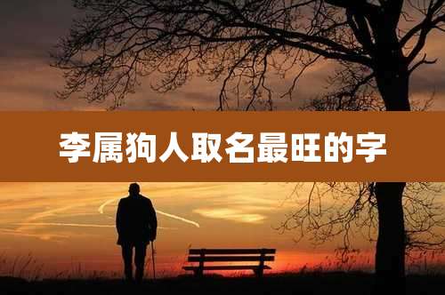 李属狗人取名最旺的字
