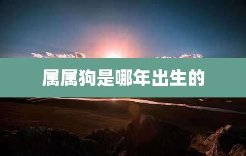 属属狗是哪年出生的