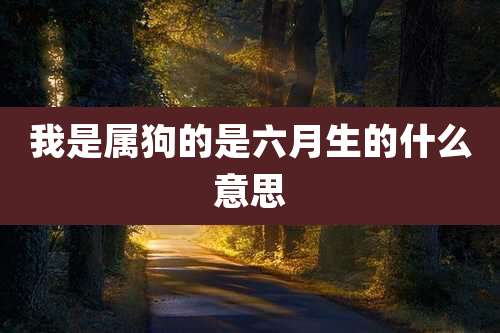 我是属狗的是六月生的什么意思