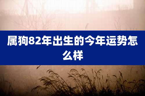 属狗82年出生的今年运势怎么样