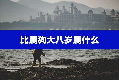比属狗大八岁属什么