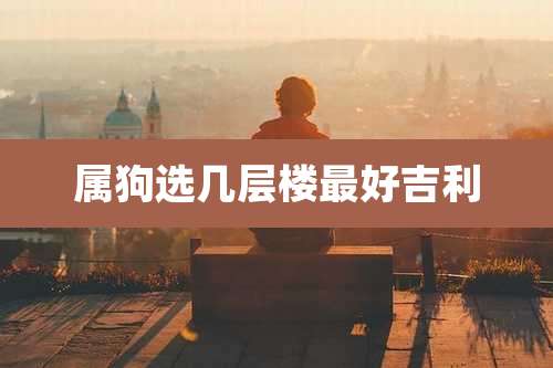 属狗选几层楼最好吉利