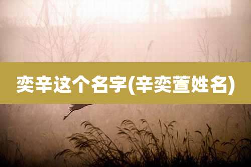 奕辛这个名字(辛奕萱姓名)