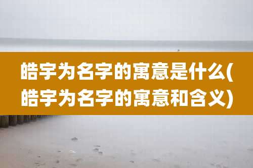 皓宇为名字的寓意是什么(皓宇为名字的寓意和含义)