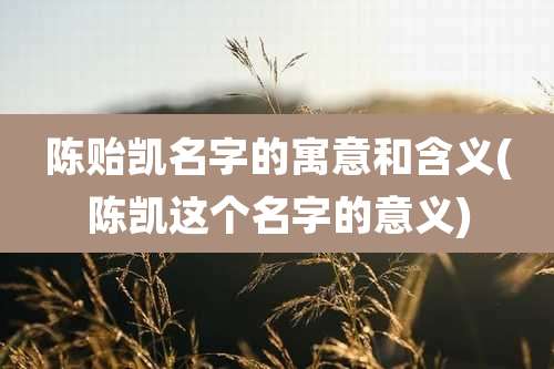 陈贻凯名字的寓意和含义(陈凯这个名字的意义)