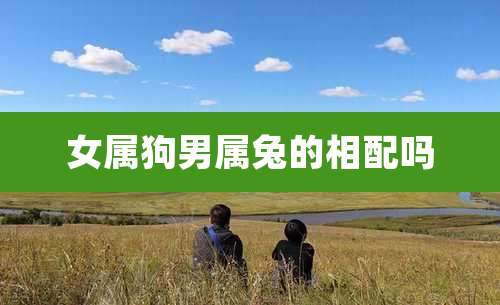 女属狗男属兔的相配吗