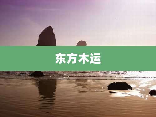 东方木运