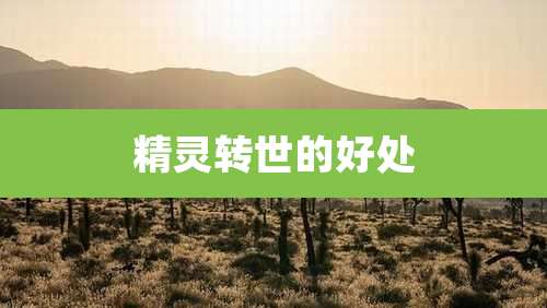 精灵转世的好处