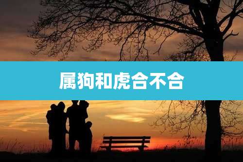 属狗和虎合不合