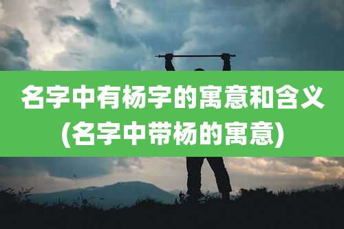 名字中有杨字的寓意和含义(名字中带杨的寓意)