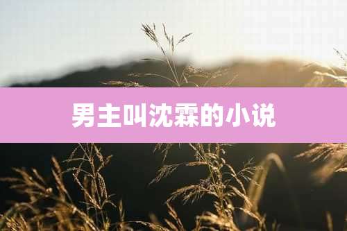 男主叫沈霖的小说