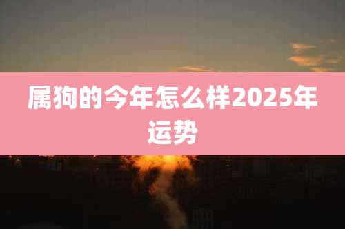 属狗的今年怎么样2025年运势