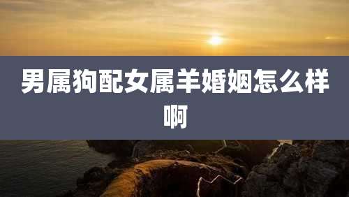 男属狗配女属羊婚姻怎么样啊