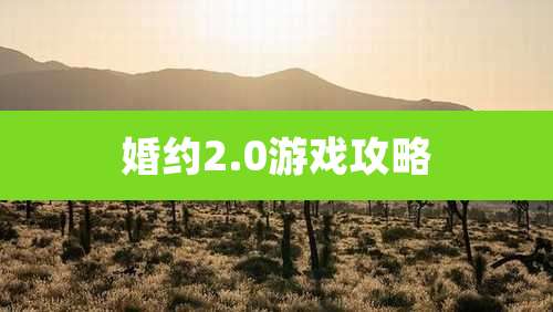 婚约2.0游戏攻略