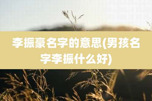 李振豪名字的意思(男孩名字李振什么好)