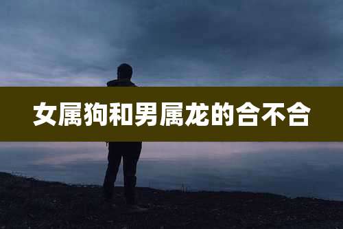 女属狗和男属龙的合不合
