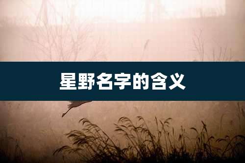 星野名字的含义