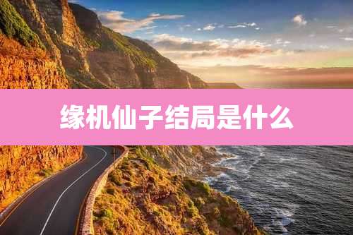 缘机仙子结局是什么