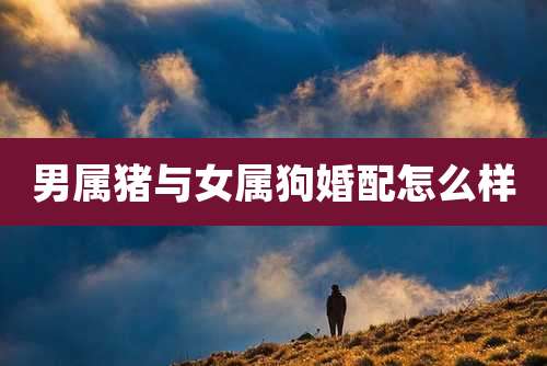 男属猪与女属狗婚配怎么样