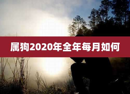 属狗2020年全年每月如何