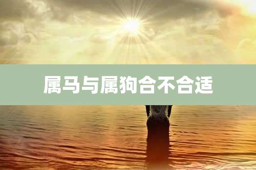 属马与属狗合不合适