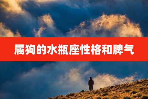 属狗的水瓶座性格和脾气