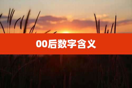 00后数字含义