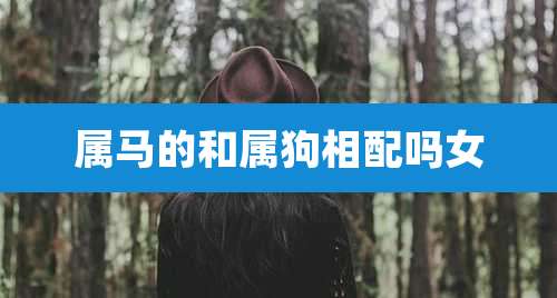 属马的和属狗相配吗女