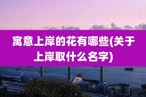 寓意上岸的花有哪些(关于上岸取什么名字)