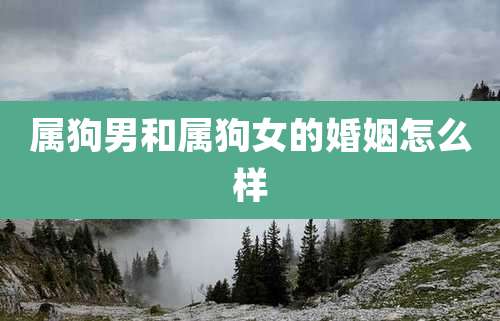 属狗男和属狗女的婚姻怎么样