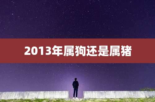 2013年属狗还是属猪