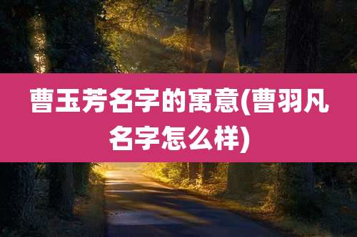 曹玉芳名字的寓意(曹羽凡名字怎么样)