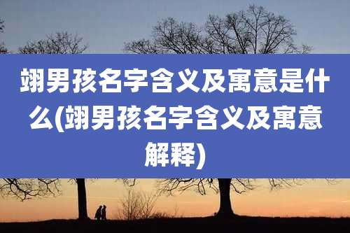 翊男孩名字含义及寓意是什么(翊男孩名字含义及寓意解释)