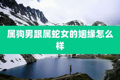 属狗男跟属蛇女的姻缘怎么样