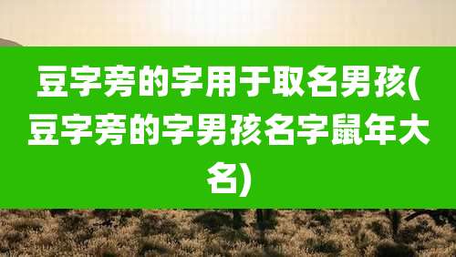 豆字旁的字用于取名男孩(豆字旁的字男孩名字鼠年大名)