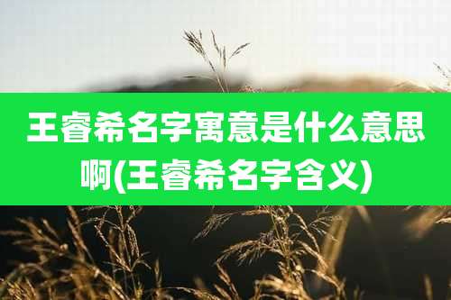 王睿希名字寓意是什么意思啊(王睿希名字含义)