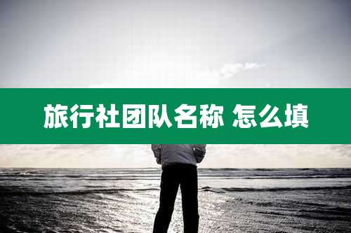 旅行社团队名称 怎么填