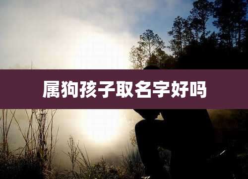属狗孩子取名字好吗