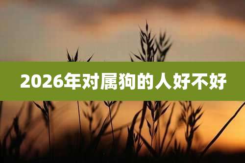 2026年对属狗的人好不好