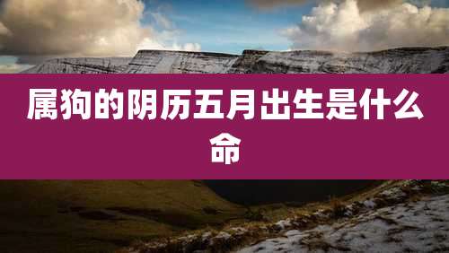 属狗的阴历五月出生是什么命