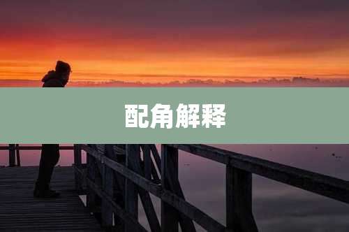 配角解释