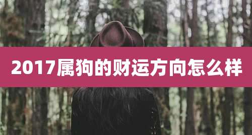 2017属狗的财运方向怎么样