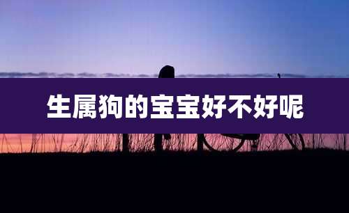 生属狗的宝宝好不好呢
