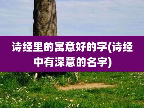诗经里的寓意好的字(诗经中有深意的名字)